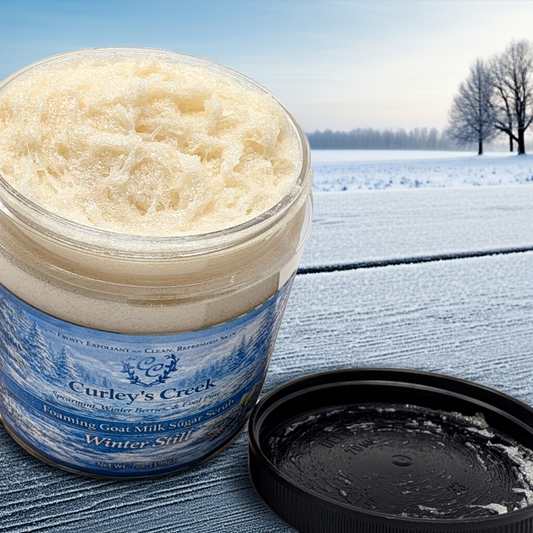 🫧 🌲 Winter Still | Foaming Goat Milk Sugar Scrub | Handmade Natural Skincare | Winter Fresh | Curley’s Creek